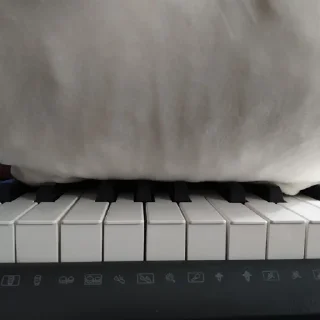 🎵