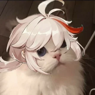 🐱