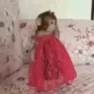 💃