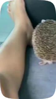 😬