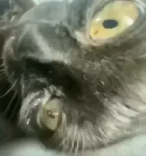 😠