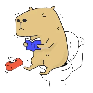 💩