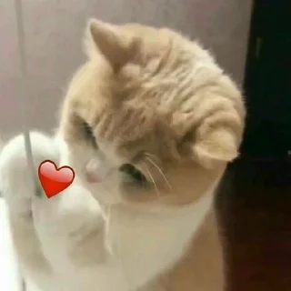 ❤️