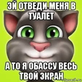 🌟