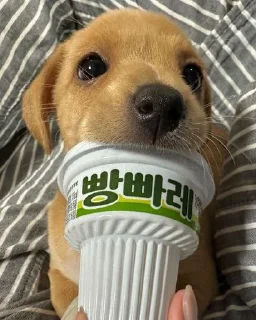 😊