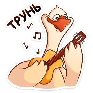 🎸