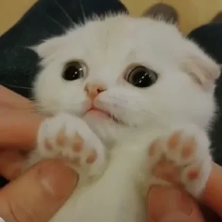 😟