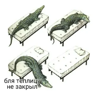 🐊