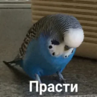 😢