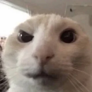 🤨