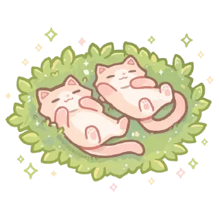 🐱