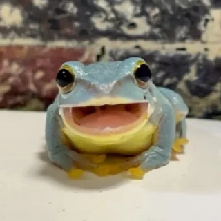 😃