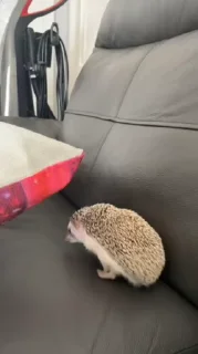 ☺