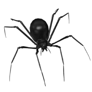 🕷