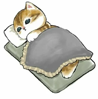 💤
