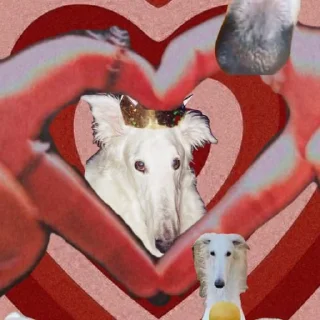 ❤️
