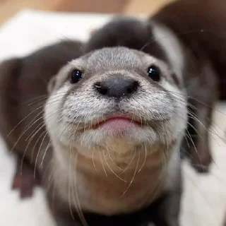 ☺️