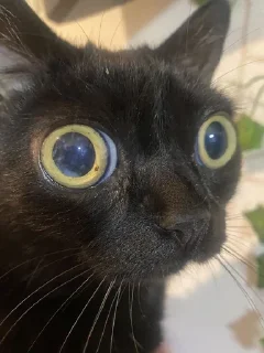😳