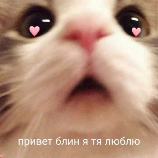 ❤️
