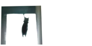 ☠️