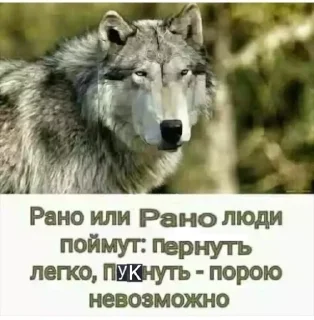 🐺