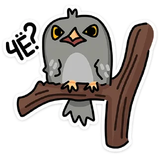 🦉