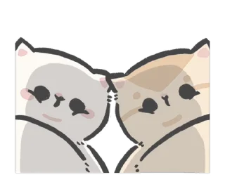 🐱