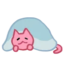 🐱