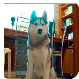👍