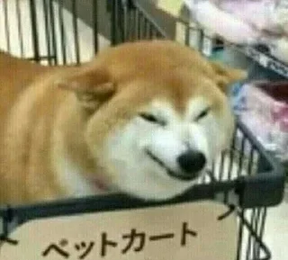 💓
