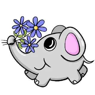 🌸