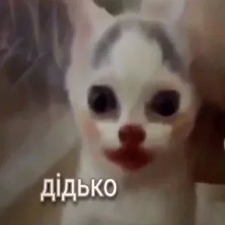 🤡