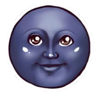 🌚
