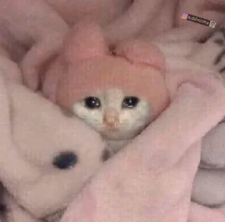 😢