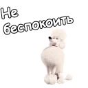 😉