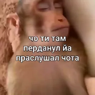 💩