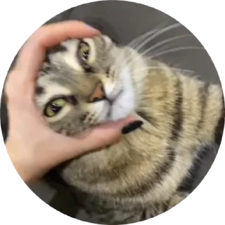 😵