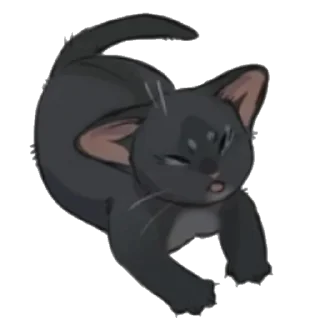 🐱