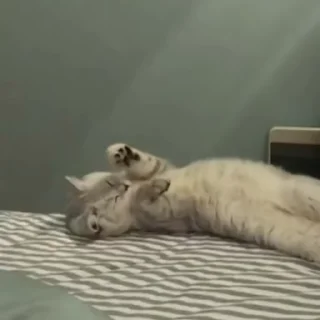 🤦‍♀️