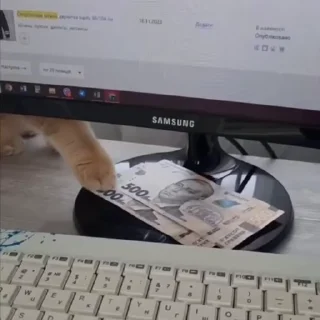 🐈