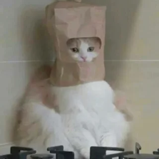 📦