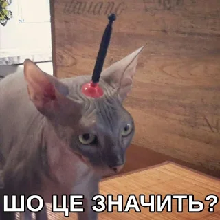 😒