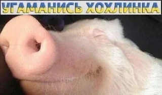 🇺🇦