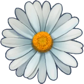 🌼