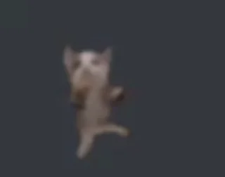 😎