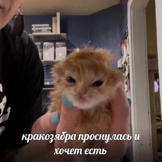 😠