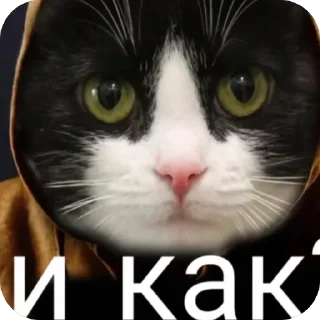 🫥