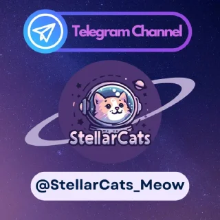 😺