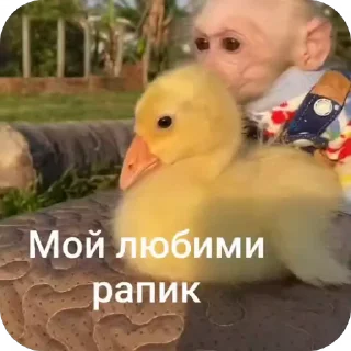🥰