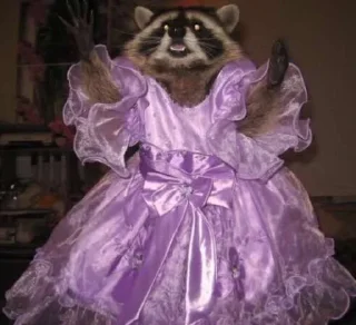 💕